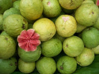 File:Guava bangalore.jpg