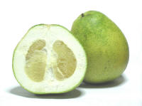 File:Citrus grandis - Honey White.jpg