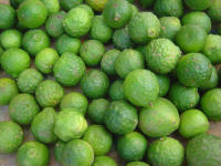 Kaffir Lime