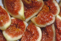 Fig