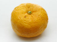 File:Yuzu.JPG