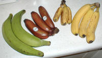 Banana