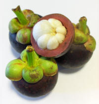 Mangosteen