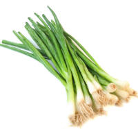 Scallions (Allium cepa)