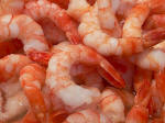 Shrimp Recipes