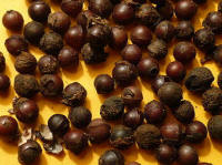 Cubeb