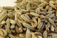 Fennel seeds