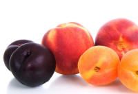 Stone Fruits